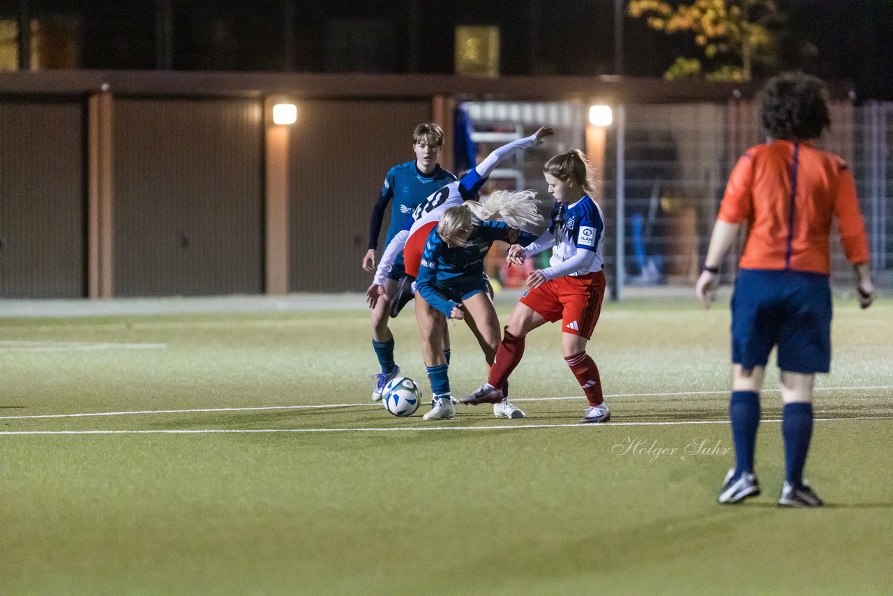 Bild 373 - F SC Alstertal-Langenhorn - Hamburger SV 3 : Ergebnis: 2:2